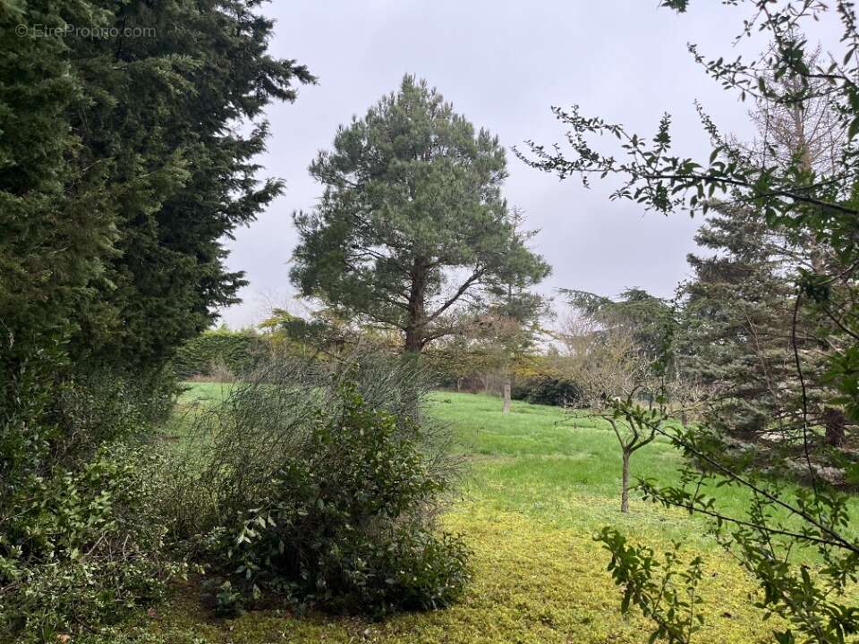 Terrain à VILLENEUVE-LA-COMPTAL