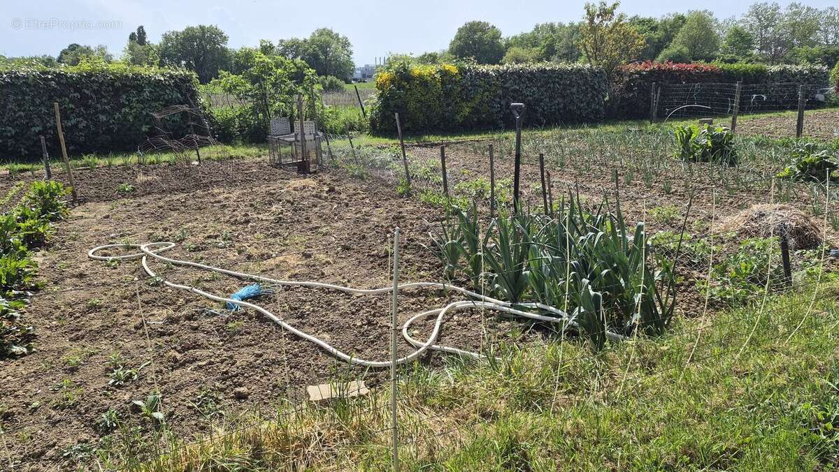 Potager