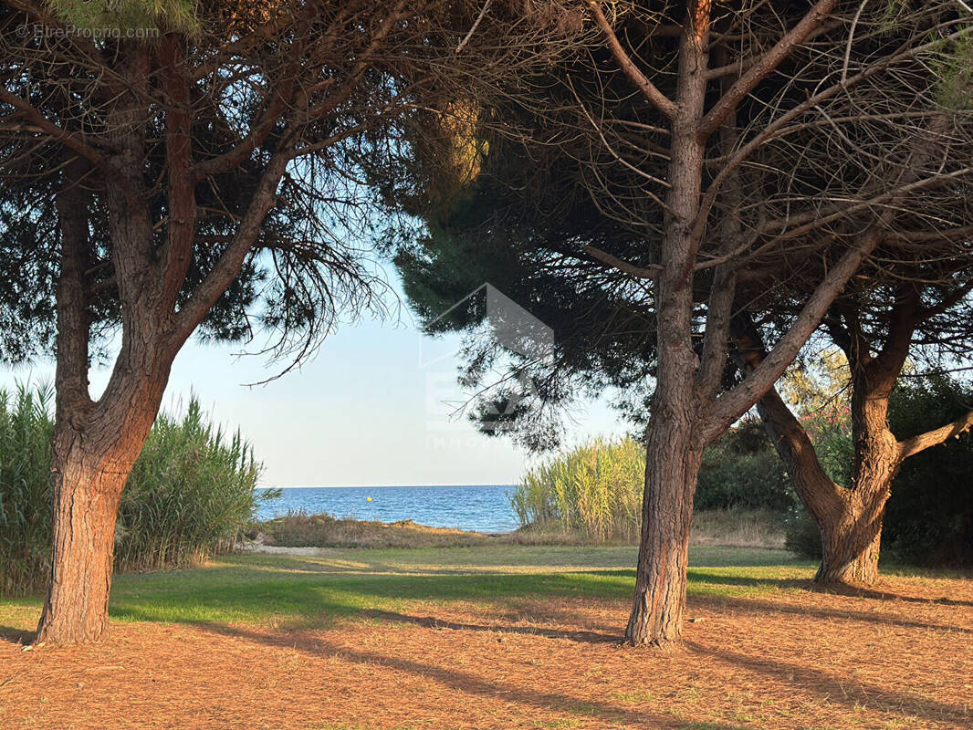Appartement à POGGIO-MEZZANA