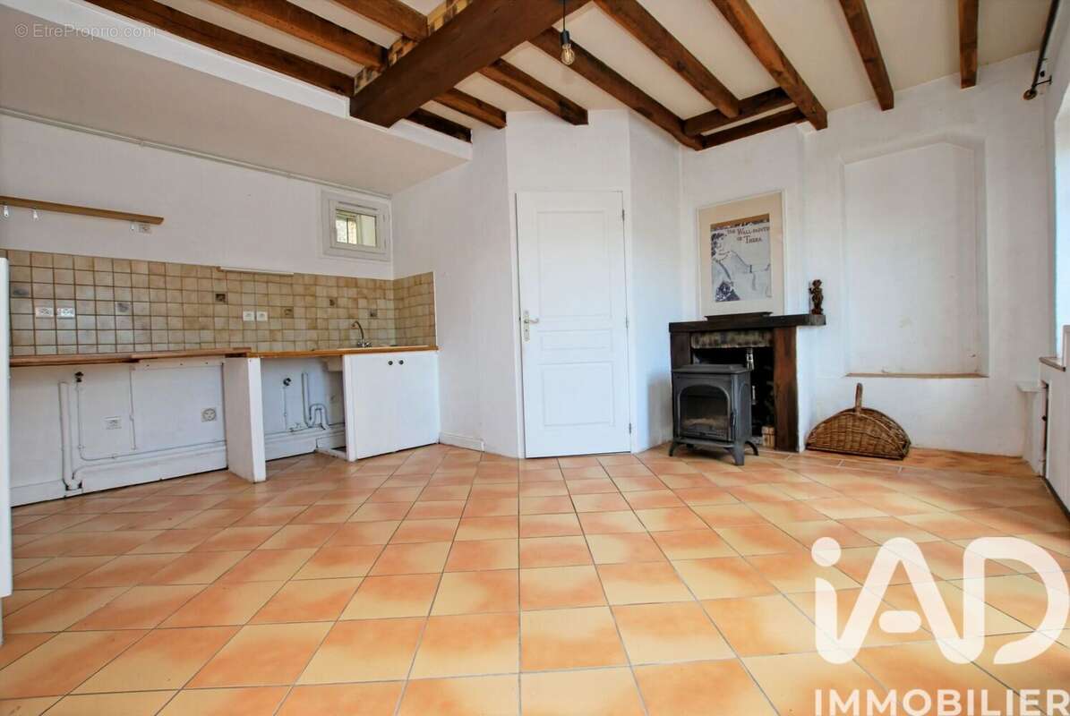 Photo 3 - Maison à OUZOUER-SUR-TREZEE