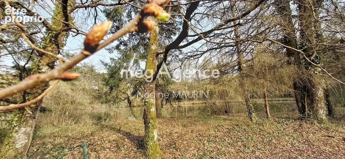 Mur de Sologne maison de 233 m² étang et piscine couverte - photo 3