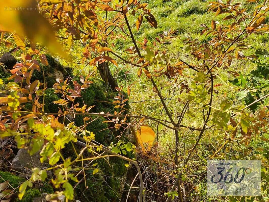 Terrain à BERZE-LA-VILLE