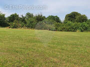 Terrain à BELLENAVES