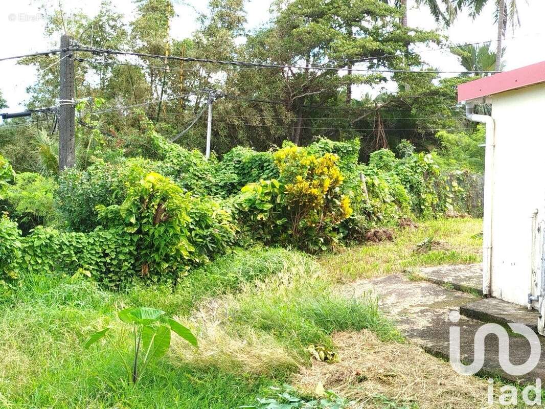 Photo 8 - Maison à SAINT-JOSEPH