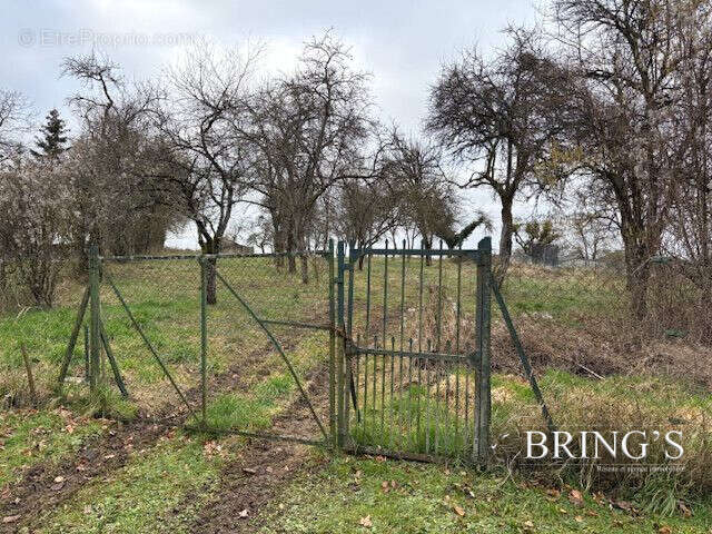 Terrain à CLERMONT-EN-ARGONNE