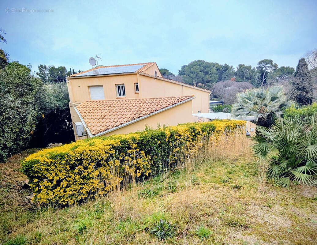 Maison à MONTPELLIER