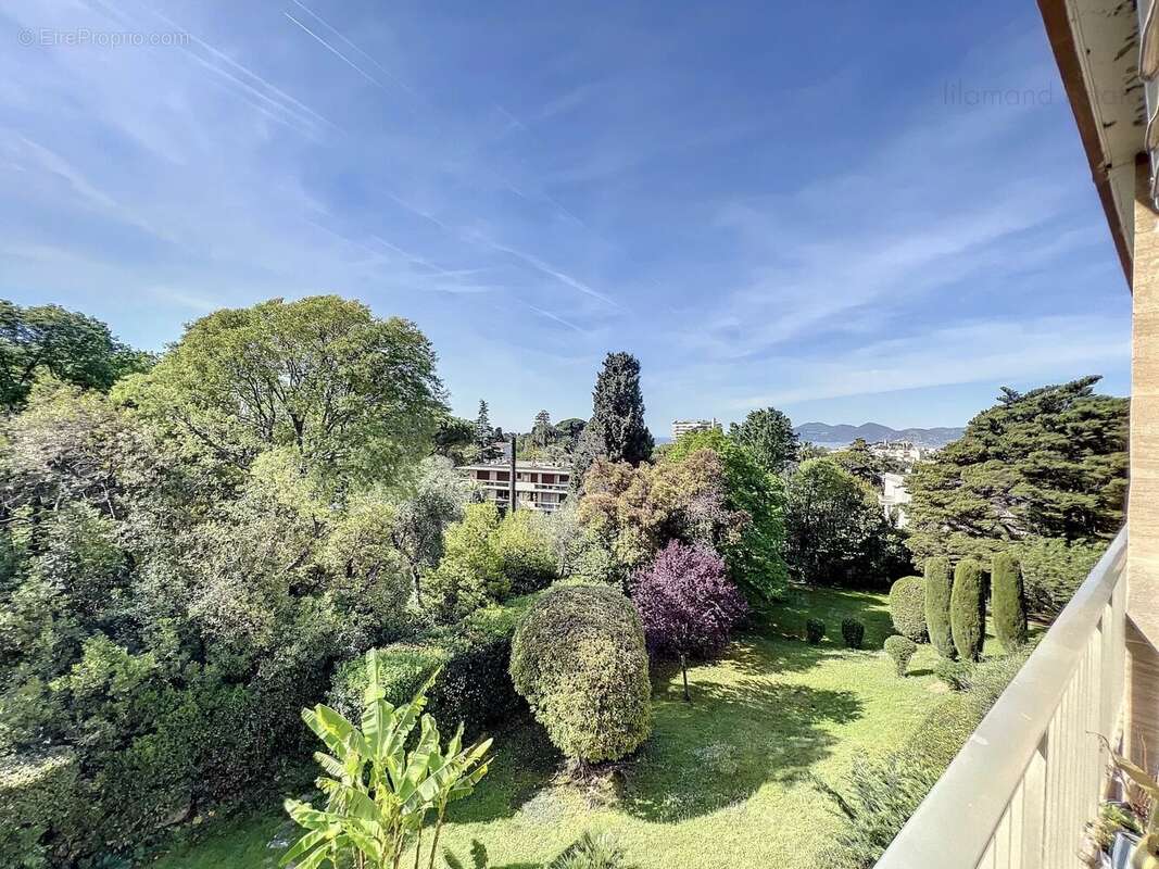 Cannes - montrose - 2 pieces - vue parc et mer - photo 7