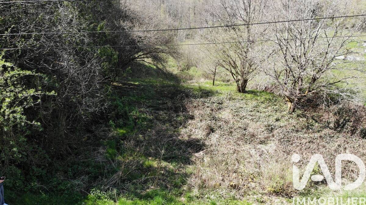 Photo 1 - Terrain à SAINT-DIE-DES-VOSGES