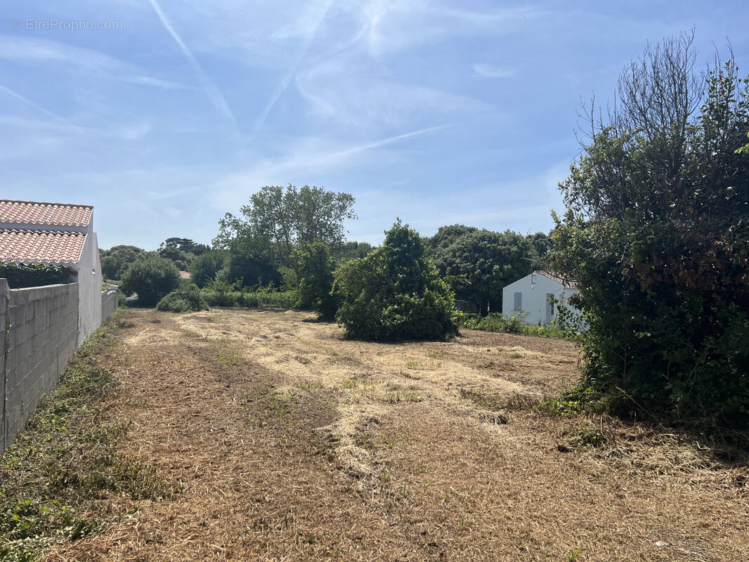 Terrain à L'ILE-D'YEU