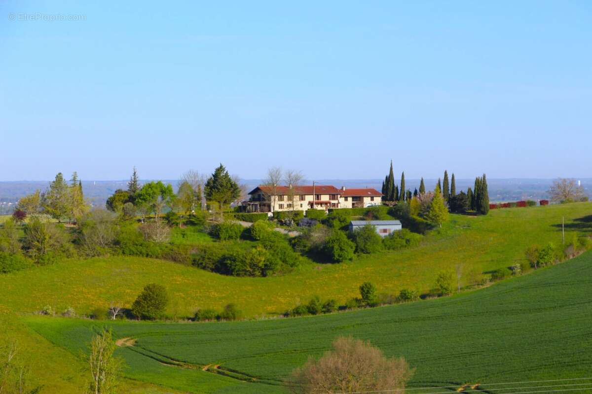Maison à MONTESQUIEU-VOLVESTRE