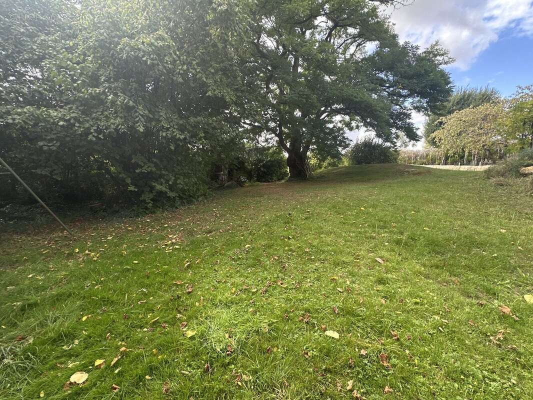 Terrain à MONTLHERY