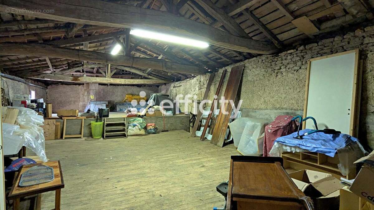 Maison 355 m² à Asnieres-Sur-Nouere  - photo 19