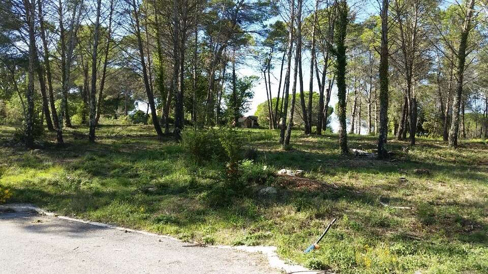 Terrain à FREJUS