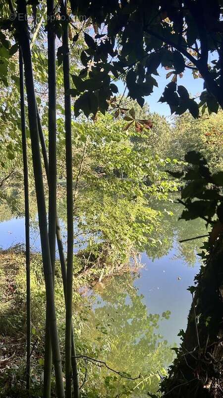 IMG2357 - Maison à NIORT