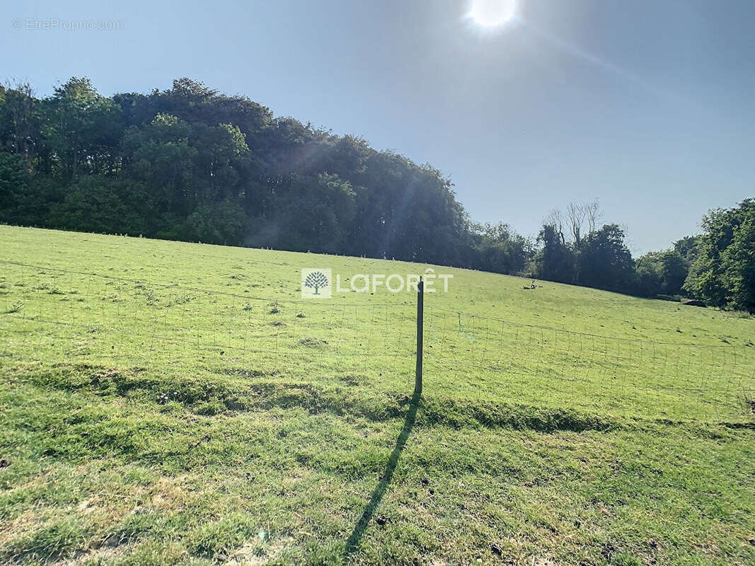 Terrain à BEC-DE-MORTAGNE