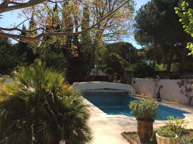 Maison à LA GRANDE-MOTTE