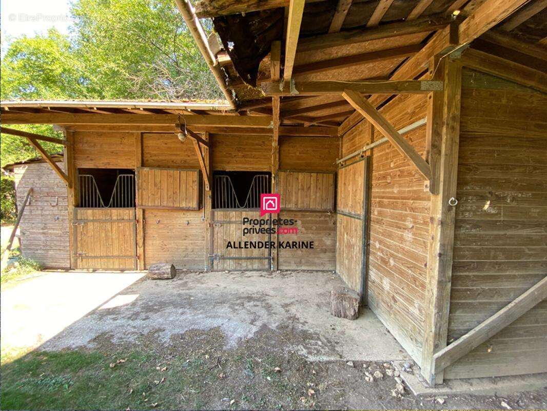 Maison Villechetive 8 pièce(s) 265 m2 - photo 8