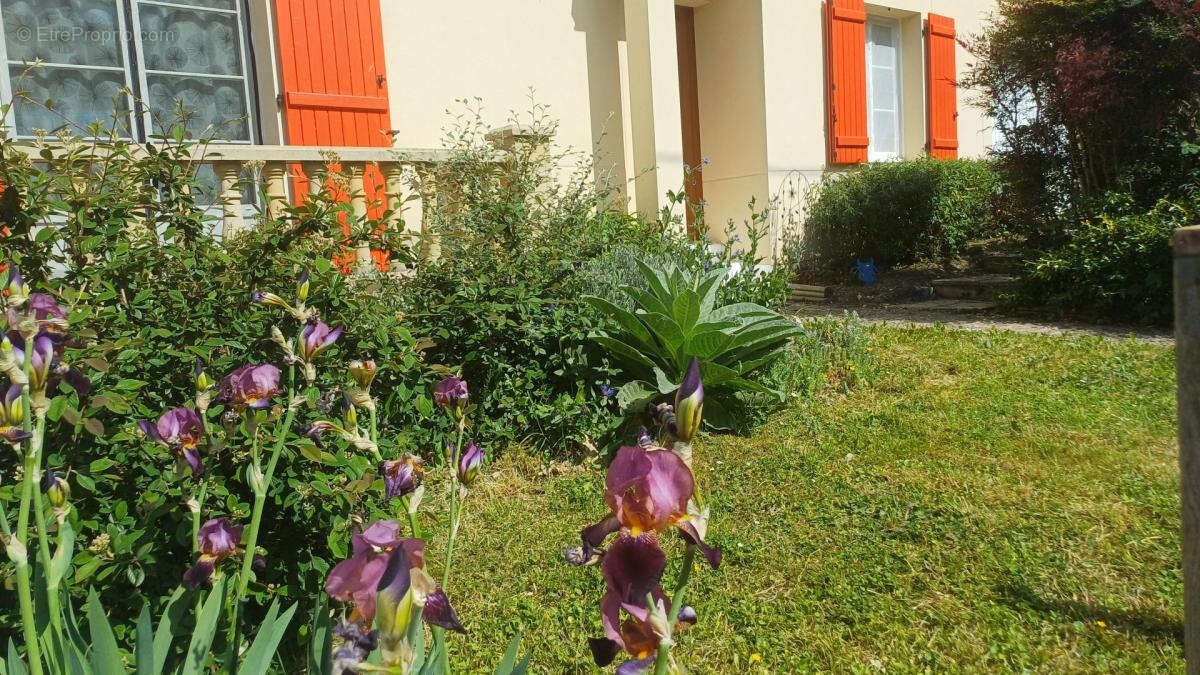 Maison à NERVILLE-LA-FORET