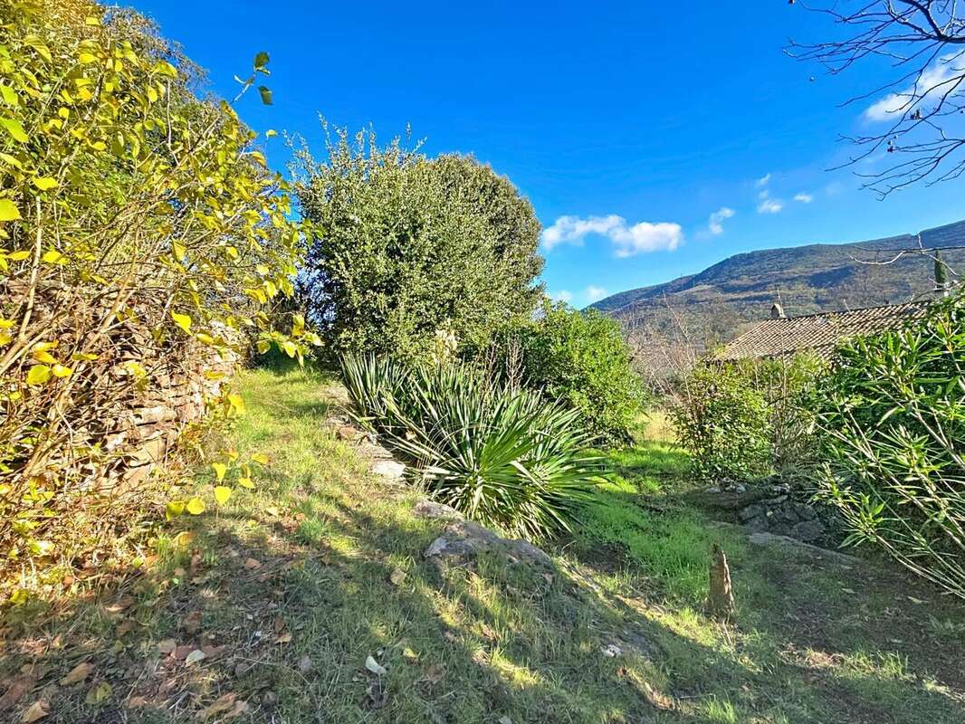 Photo 2 - Maison à LE BOUSQUET-D'ORB