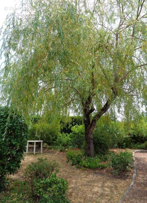 Maison à vendre 8 pièces  (33) - photo 20