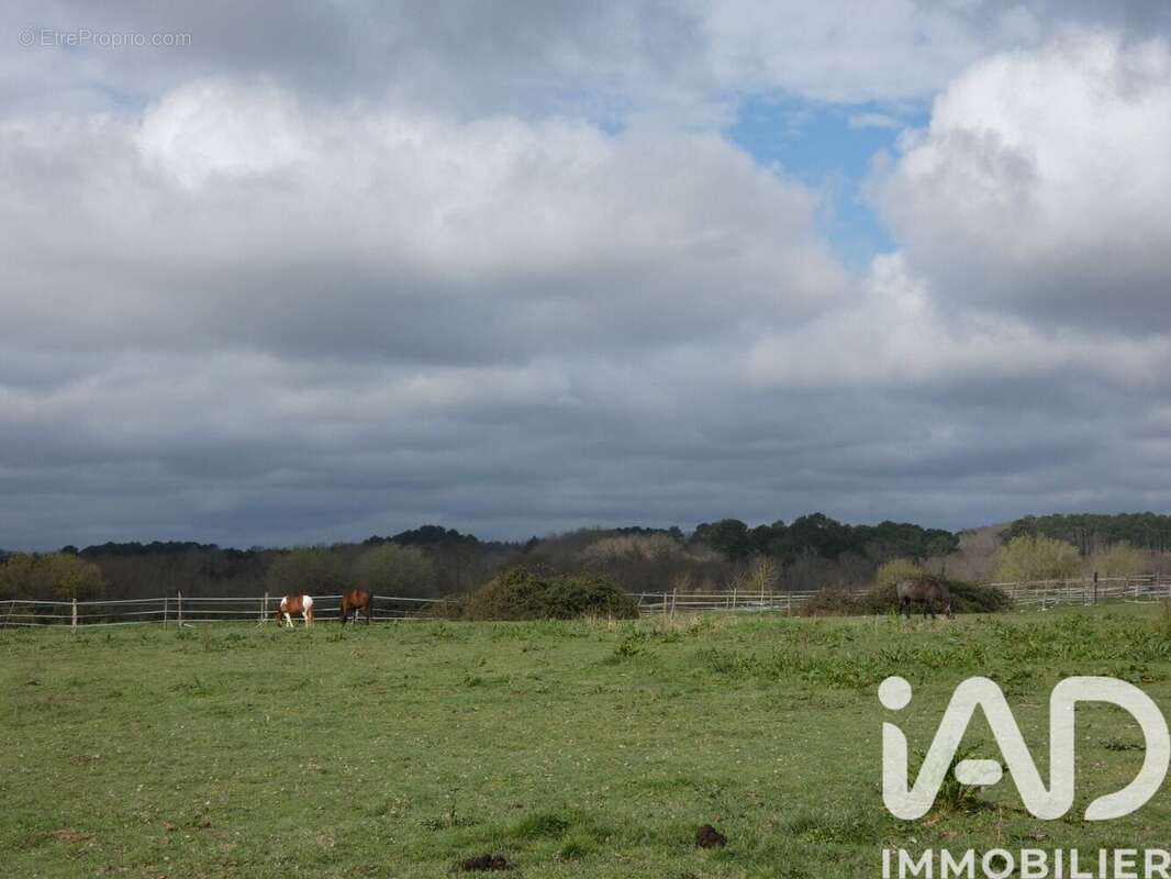 Photo 9 - Maison à LANGON