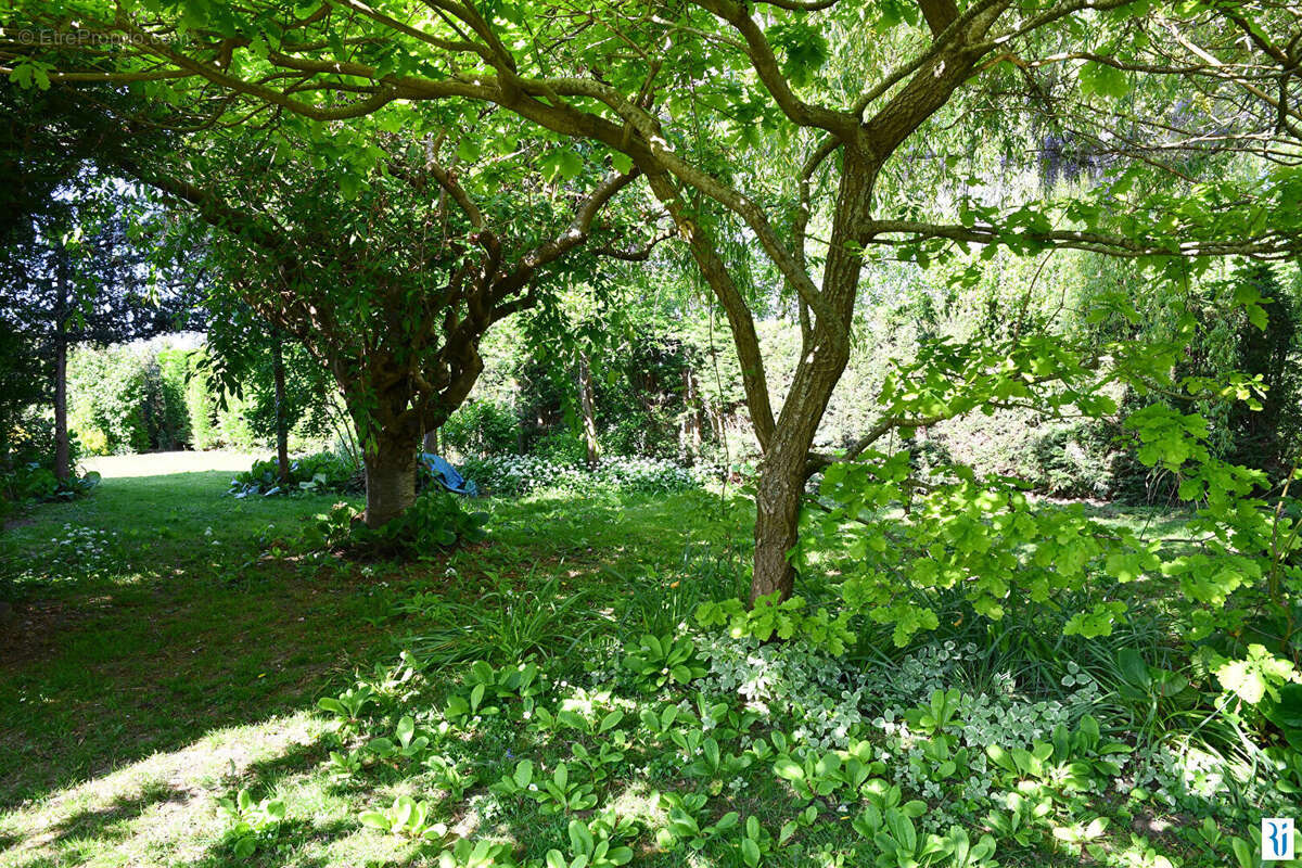 Maison à BONSECOURS