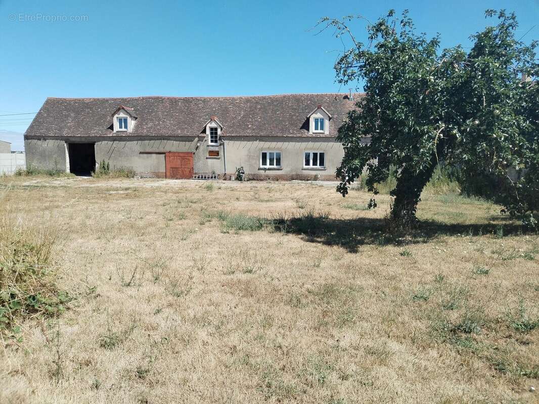 Maison à CHAINTREAUX