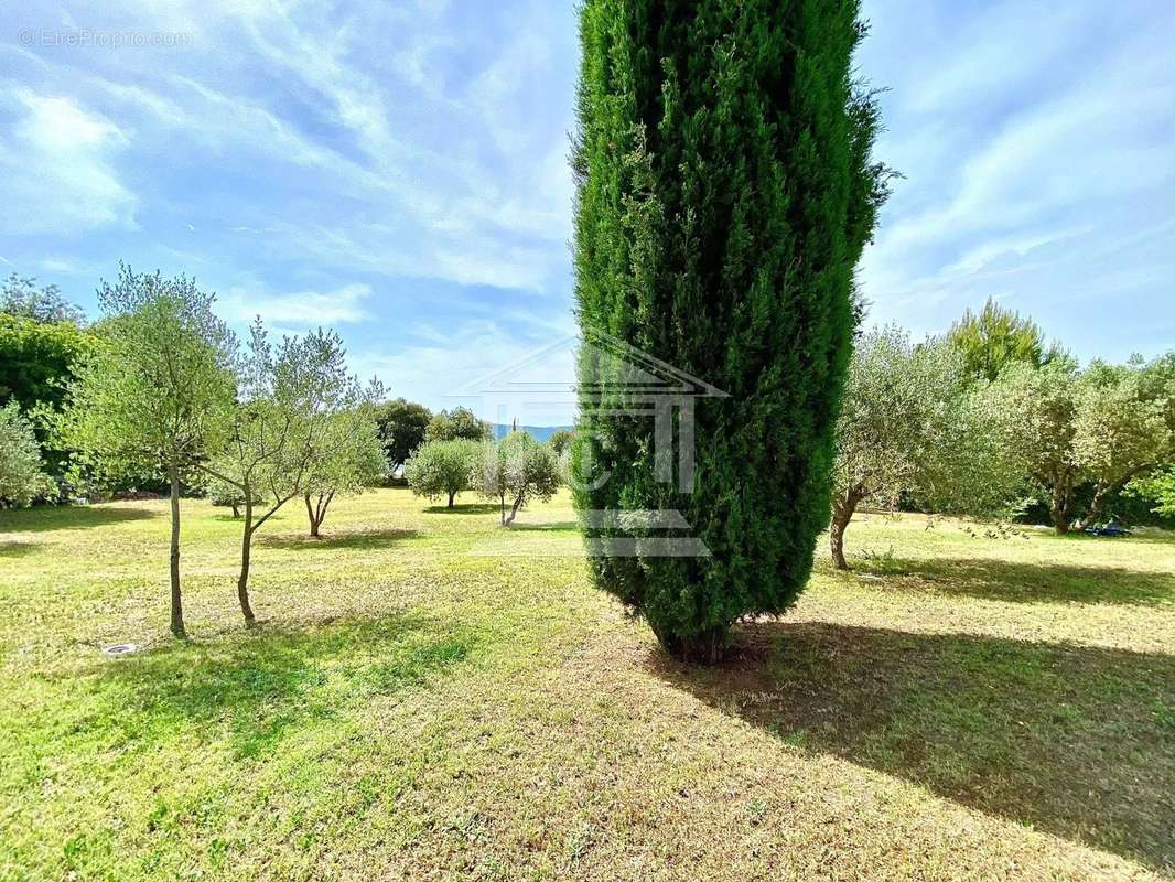 Maison à MONTAUROUX