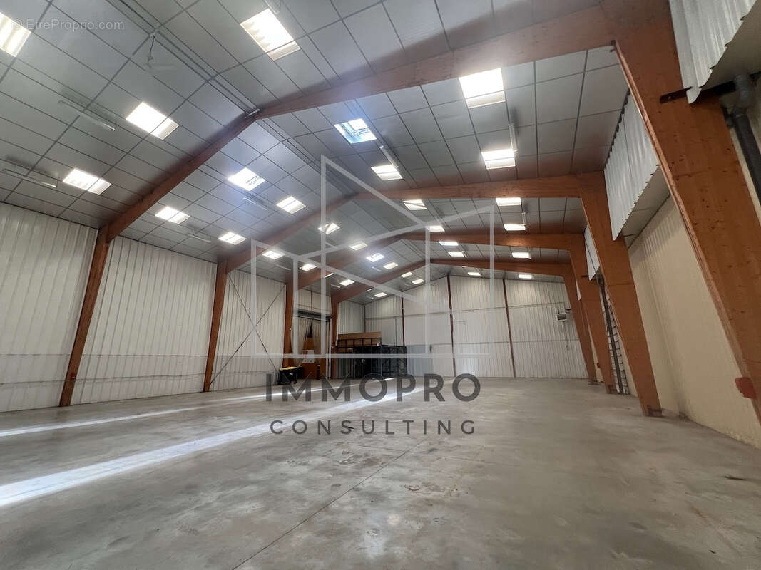 A vendre / local d'activites 1539 m2 / elbeuf sud - photo 4