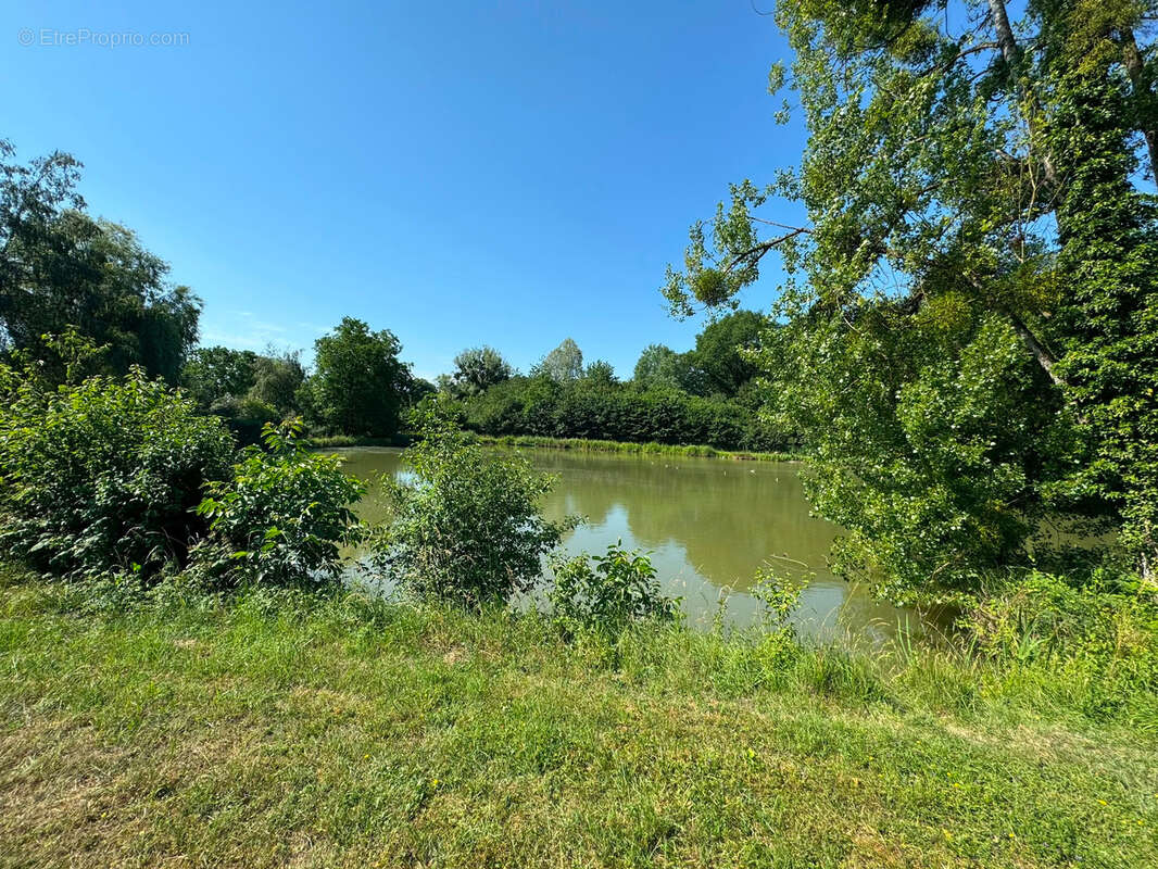 Propriété avec étangs, maison de plain pied au cœur de 3 hectares - photo 2