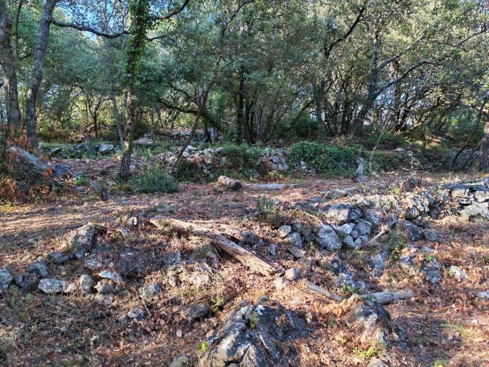 Terrain 1920 m² à Camps-La-Source  - photo 8