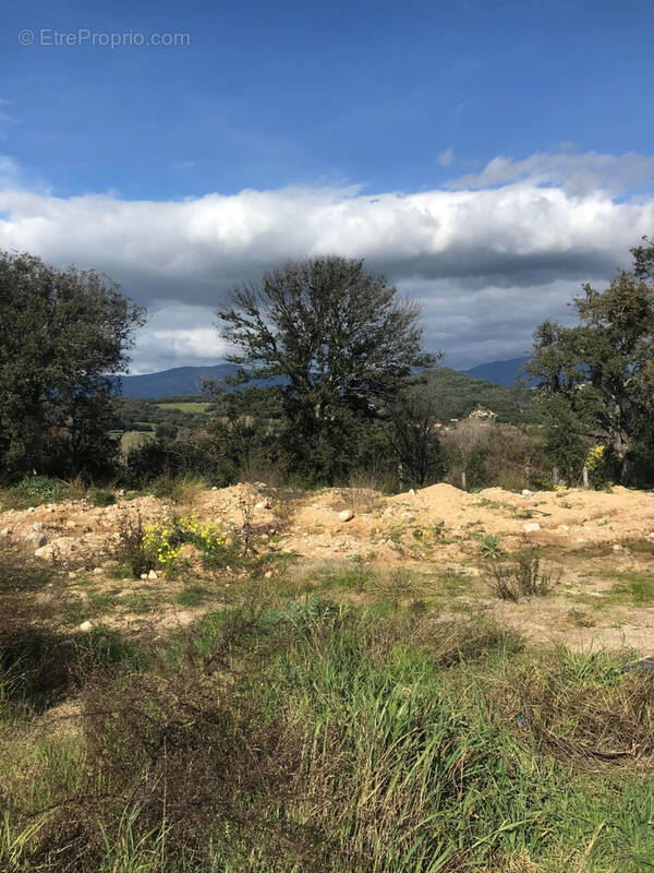 Terrain à PIETROSELLA