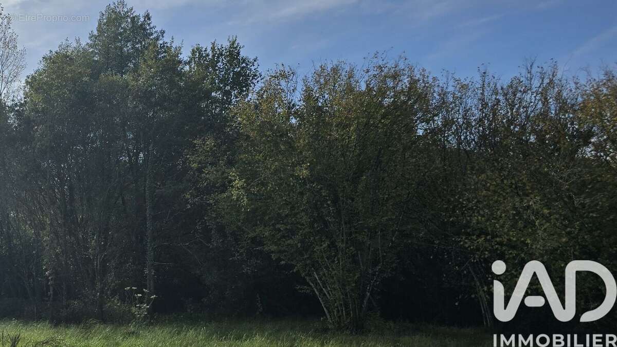 Photo 2 - Terrain à VIEUX-VY-SUR-COUESNON