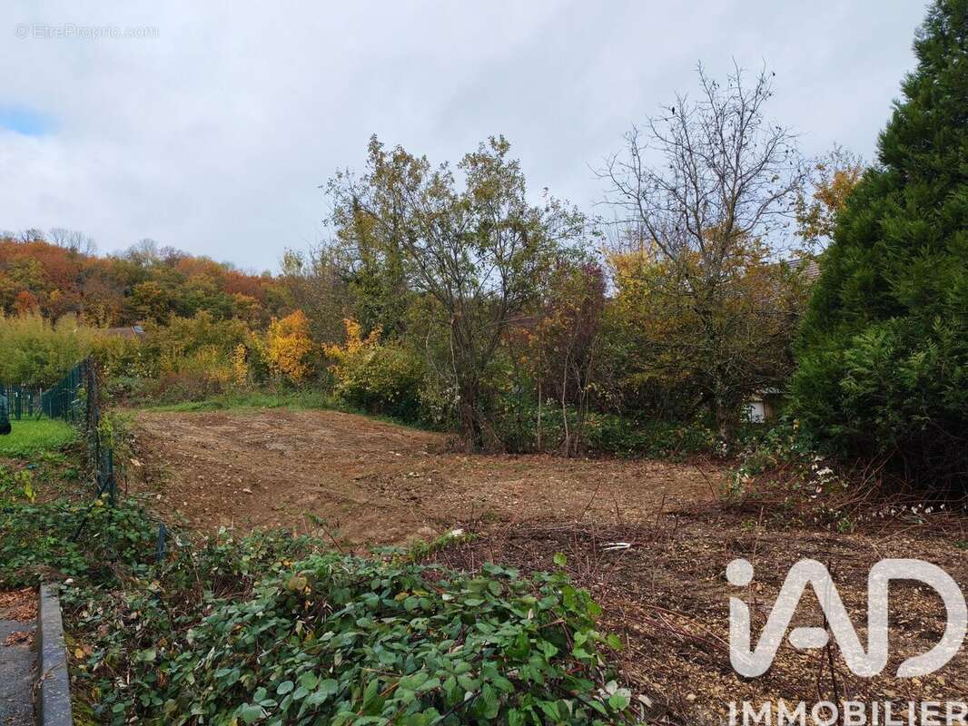 Terrain 1568 m² à Valentigney  - photo 4