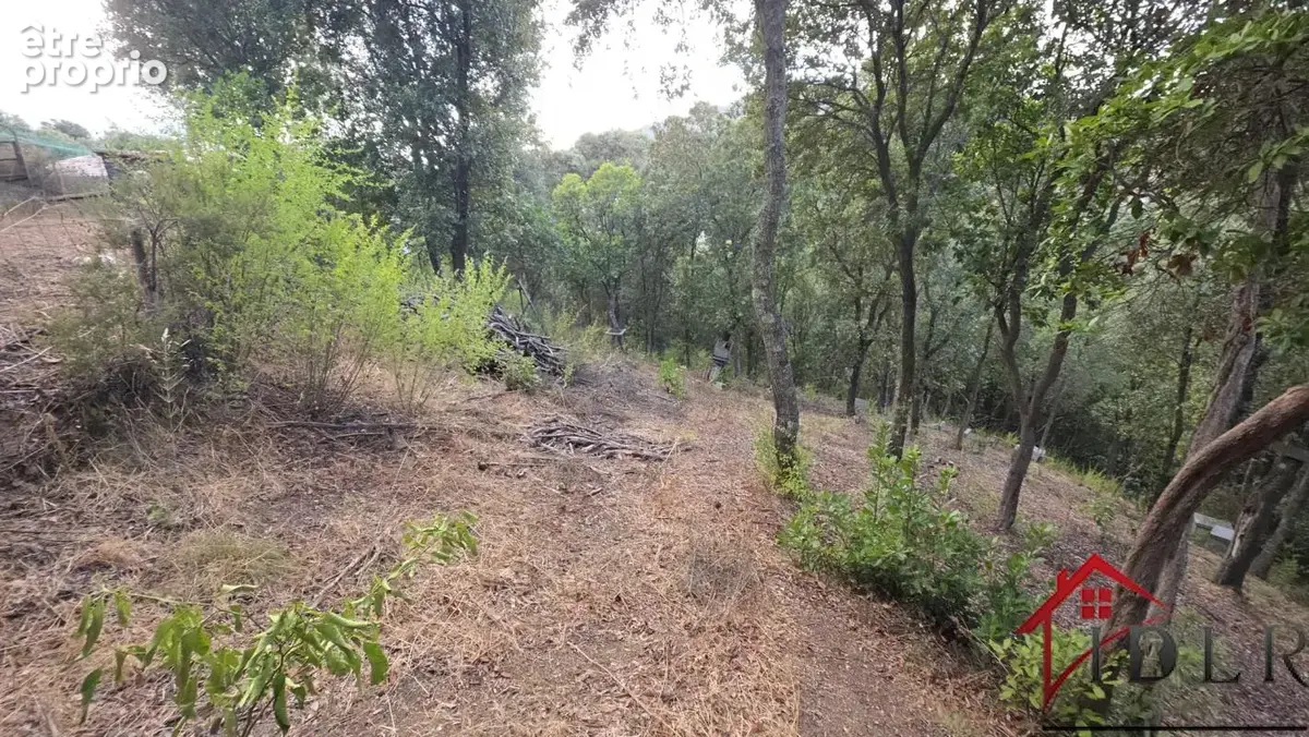 Terrain à batir arboré de 1500 m2  à ALATA - photo 6