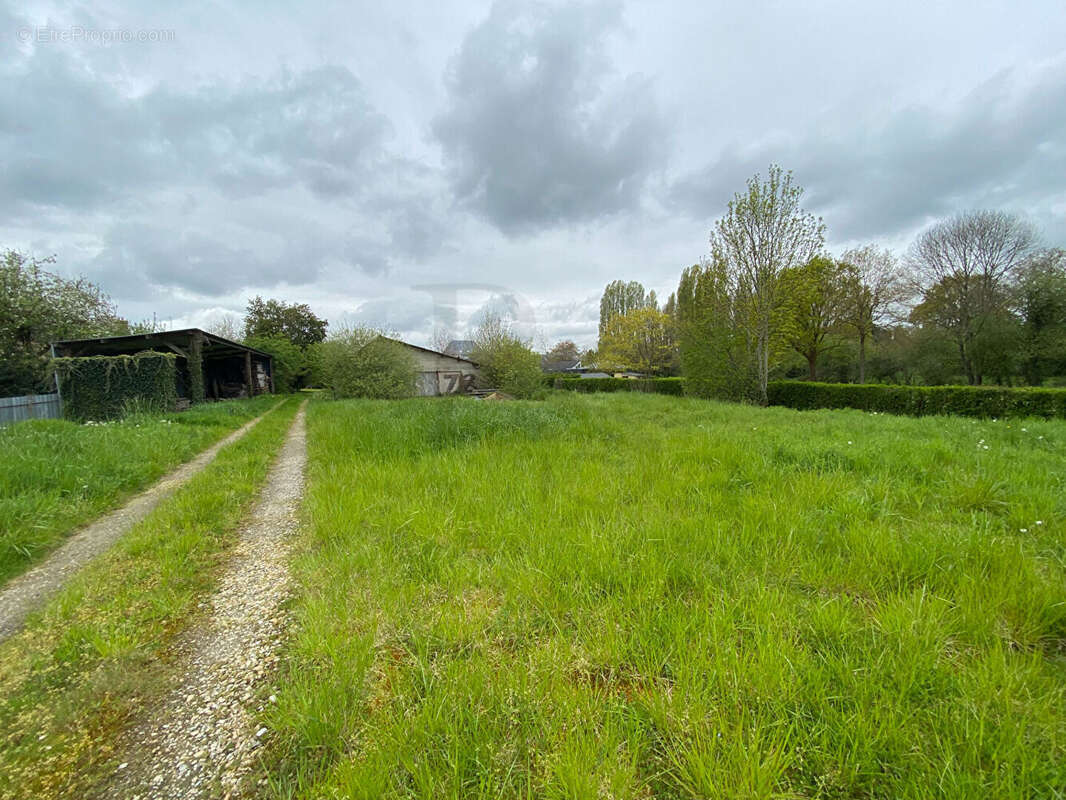 Commerce à LA CHAPELLE-D&#039;ANDAINE