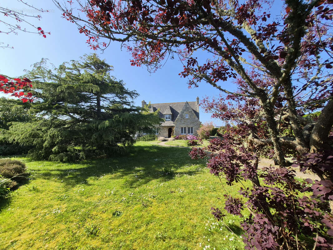 Maison à ROSCOFF