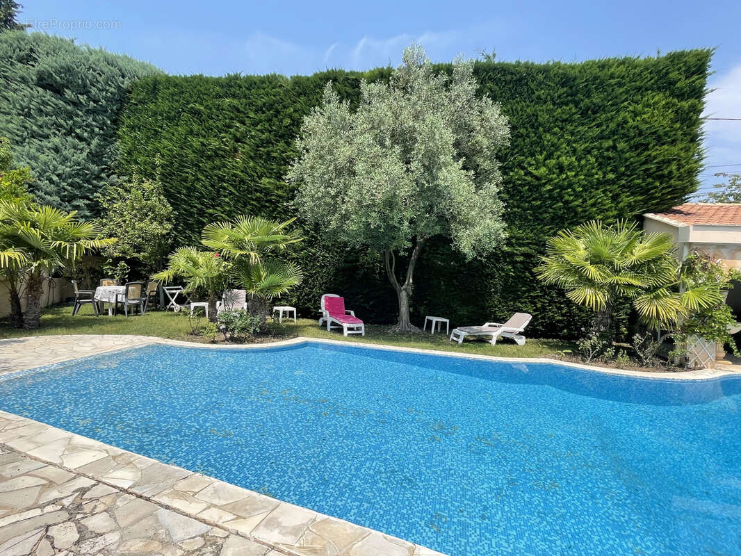 Vaison 2km / belle maison / sh240m2 / terrain 1396m2 / piscine / pool house 100m2 - photo 13