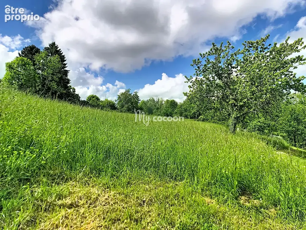 Grangeon - 61 m² - photo 10
