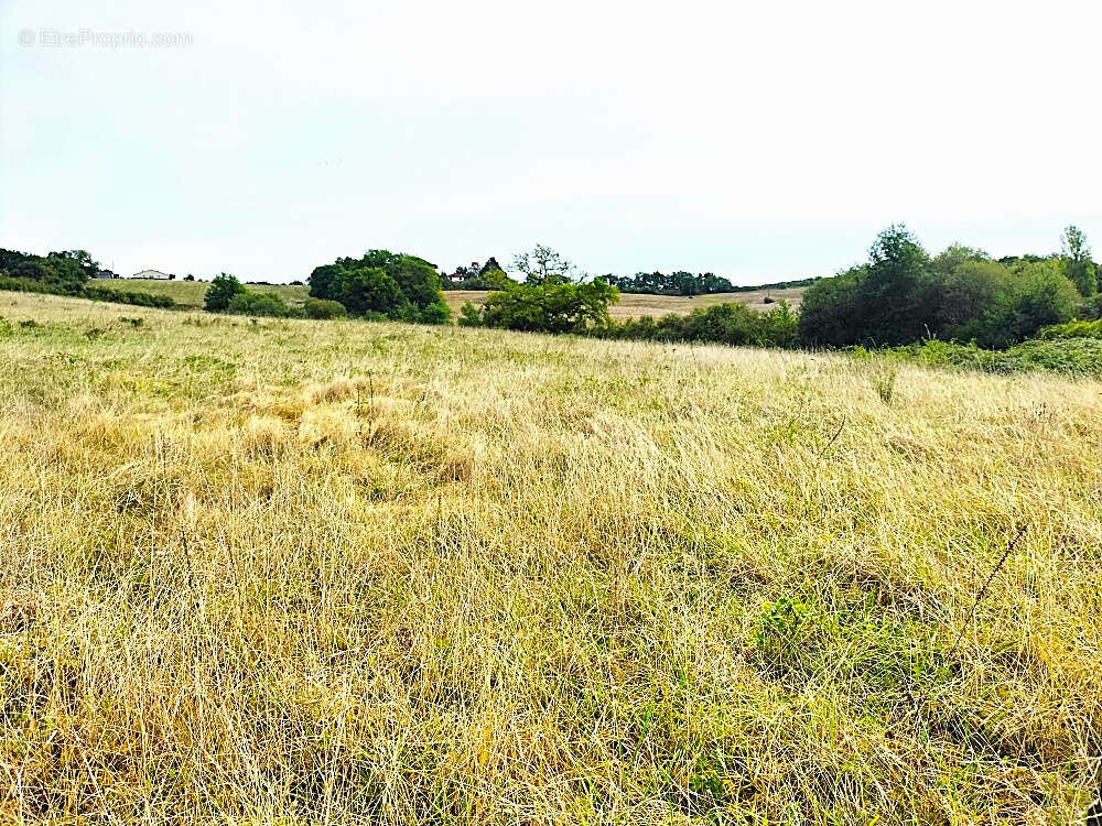 Terrain à MARGOUET-MEYMES