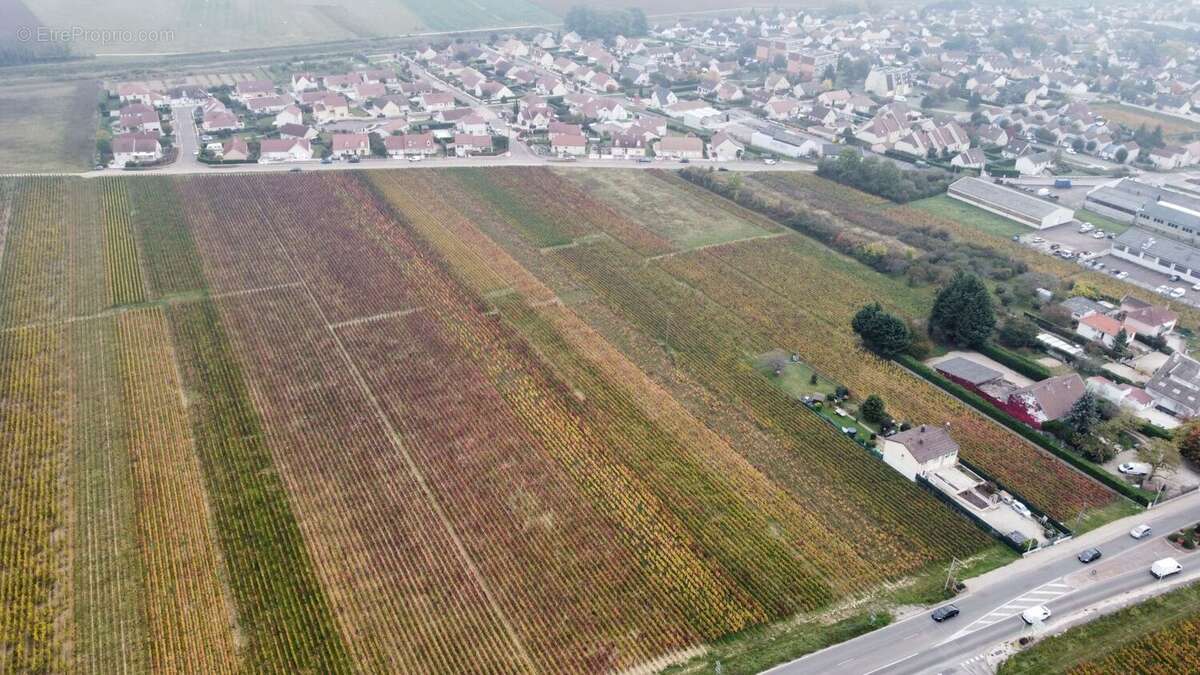 Terrain à NUITS-SAINT-GEORGES