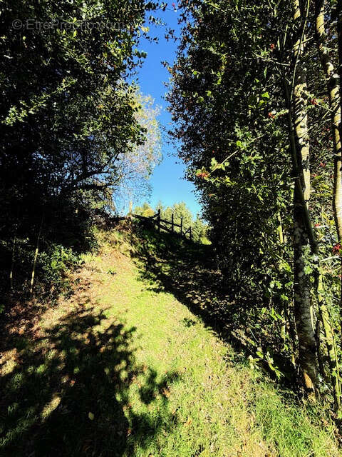 Maison à SAINT-SETIERS
