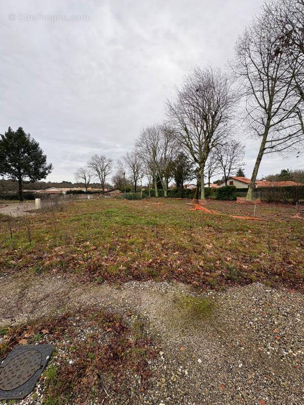 Terrain à SAINT-MEDARD-EN-JALLES