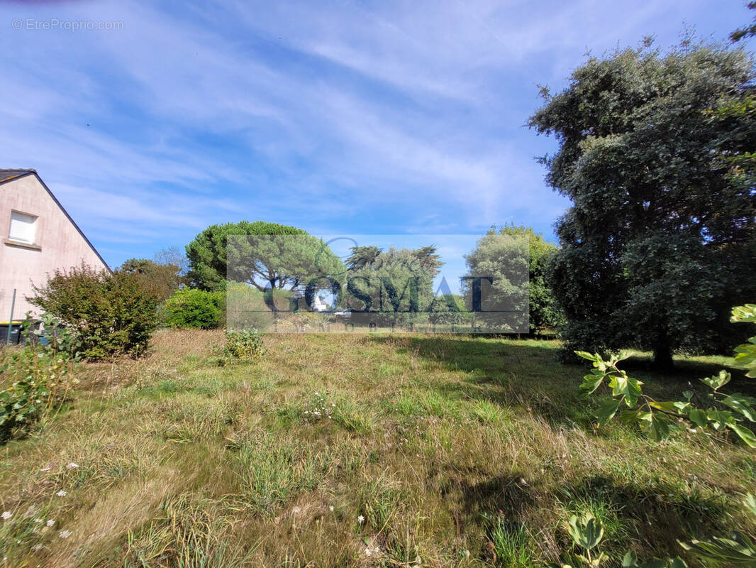 Terrain à DAMGAN