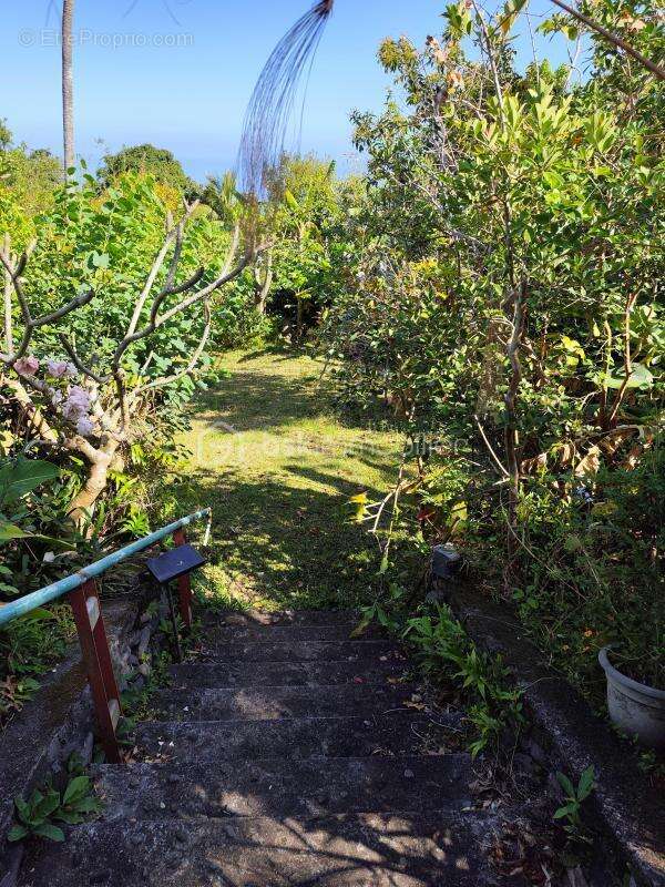 Maison à SAINT-DENIS
