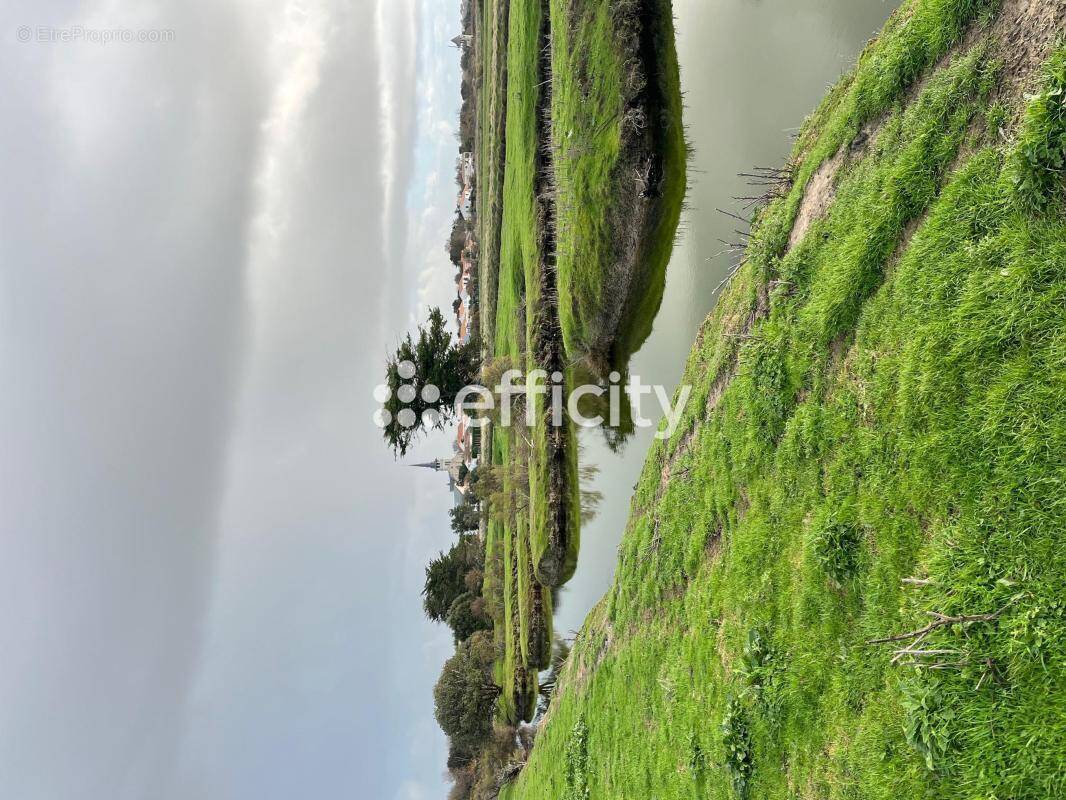 Terrain à L&#039;ILE-D&#039;OLONNE