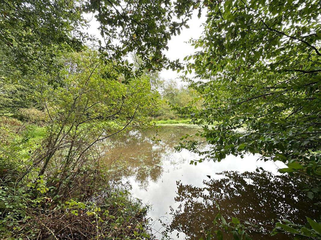 Maison à SAINT-JORY-DE-CHALAIS