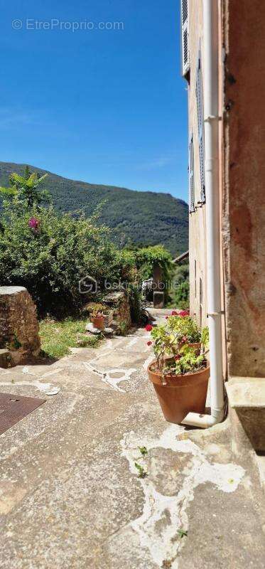 Maison de village Cap Corse - photo 23