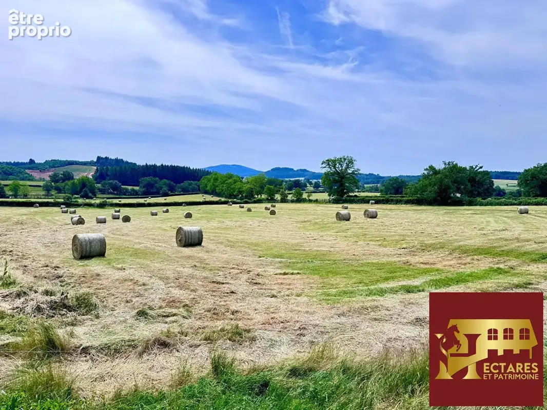 Magnifique domaine 6,4 hectares + fermages - photo 6