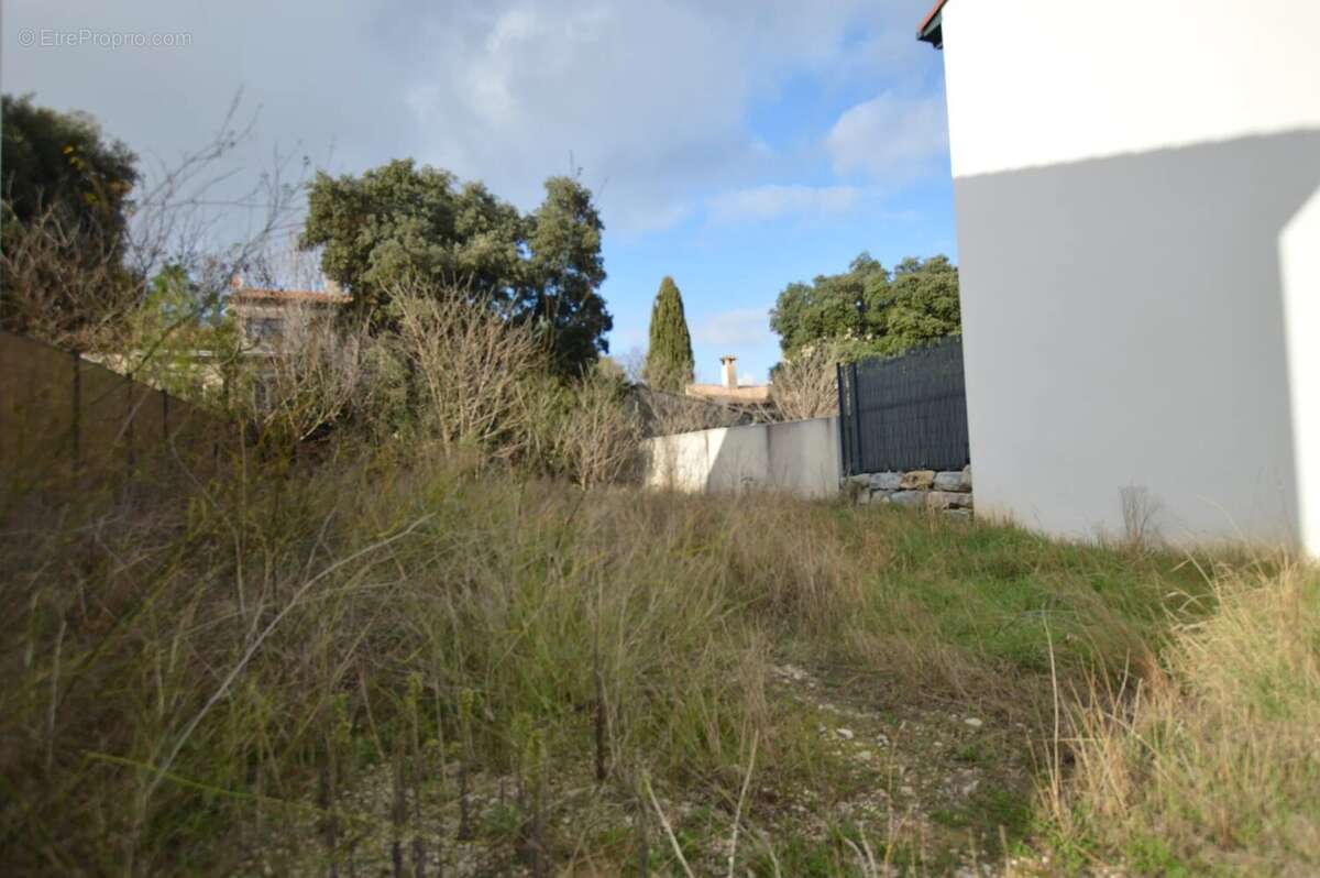 Terrain à CASTELNAU-LE-LEZ